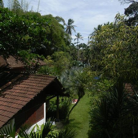 Chalet Y Cabinas Hibiscus Cahuita Exterior foto