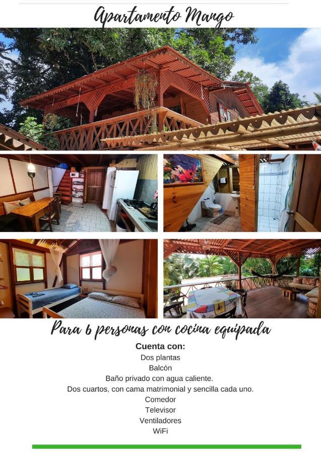 Chalet Y Cabinas Hibiscus Cahuita Exterior foto