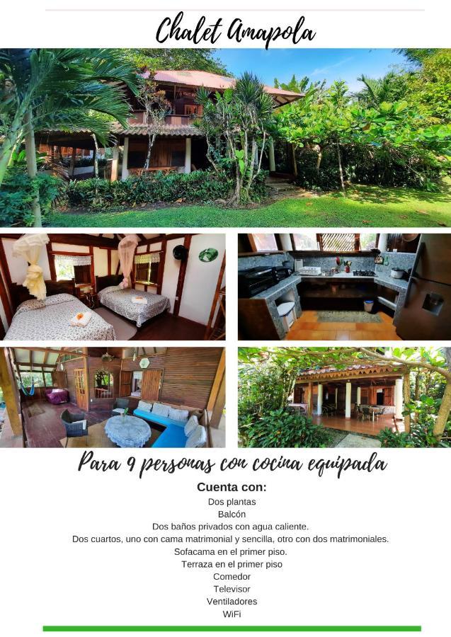 Chalet Y Cabinas Hibiscus Cahuita Exterior foto