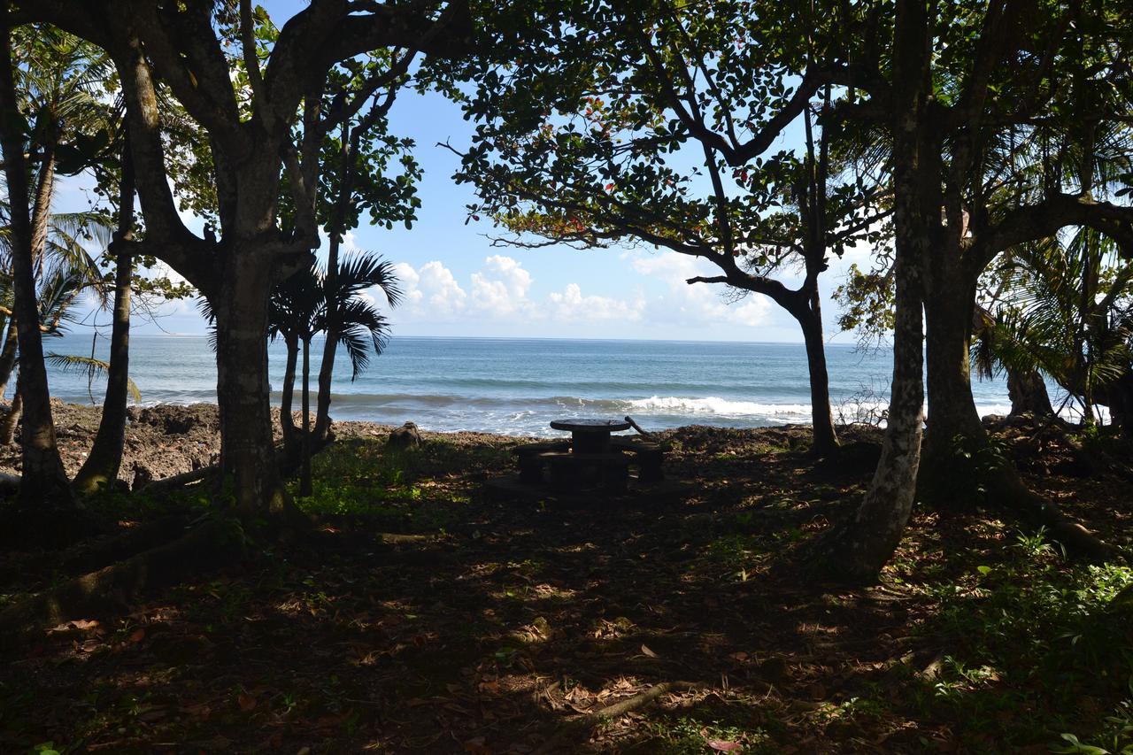 Chalet Y Cabinas Hibiscus Cahuita Exterior foto