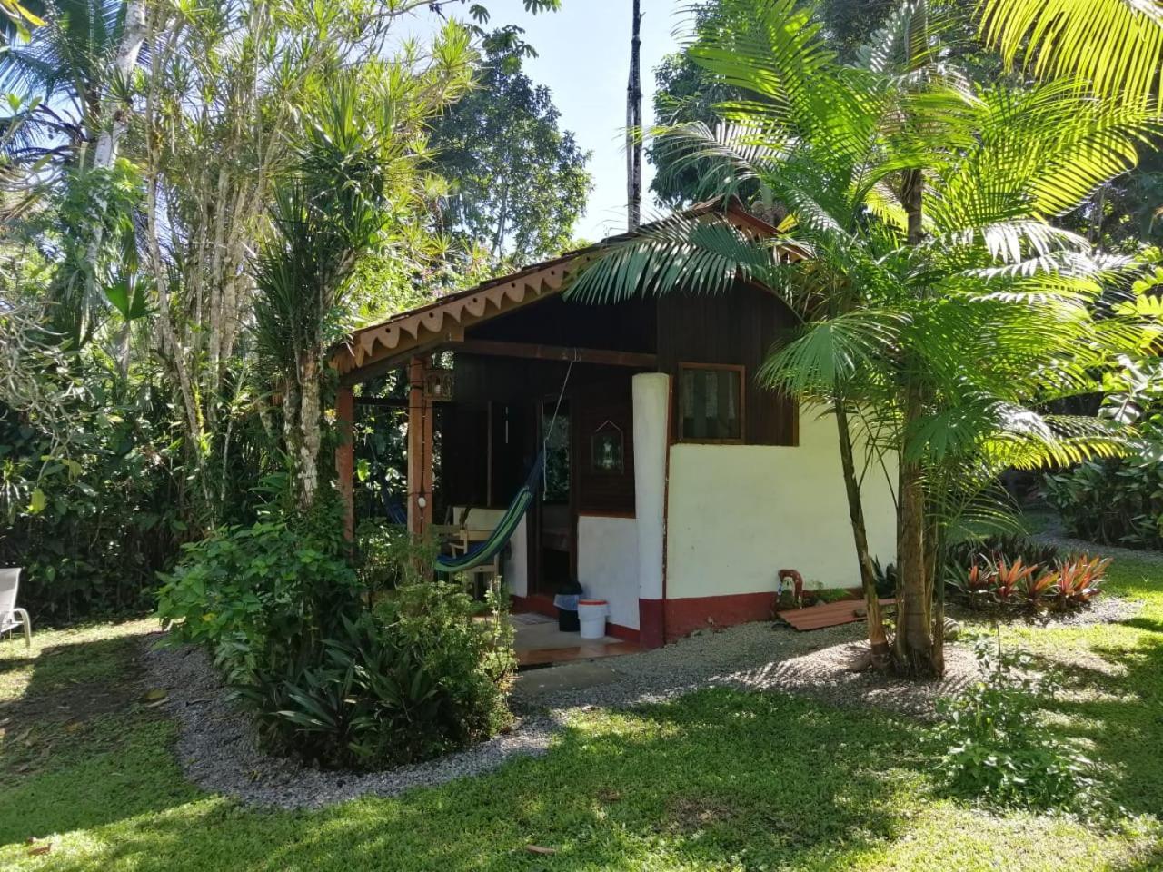 Chalet Y Cabinas Hibiscus Cahuita Exterior foto