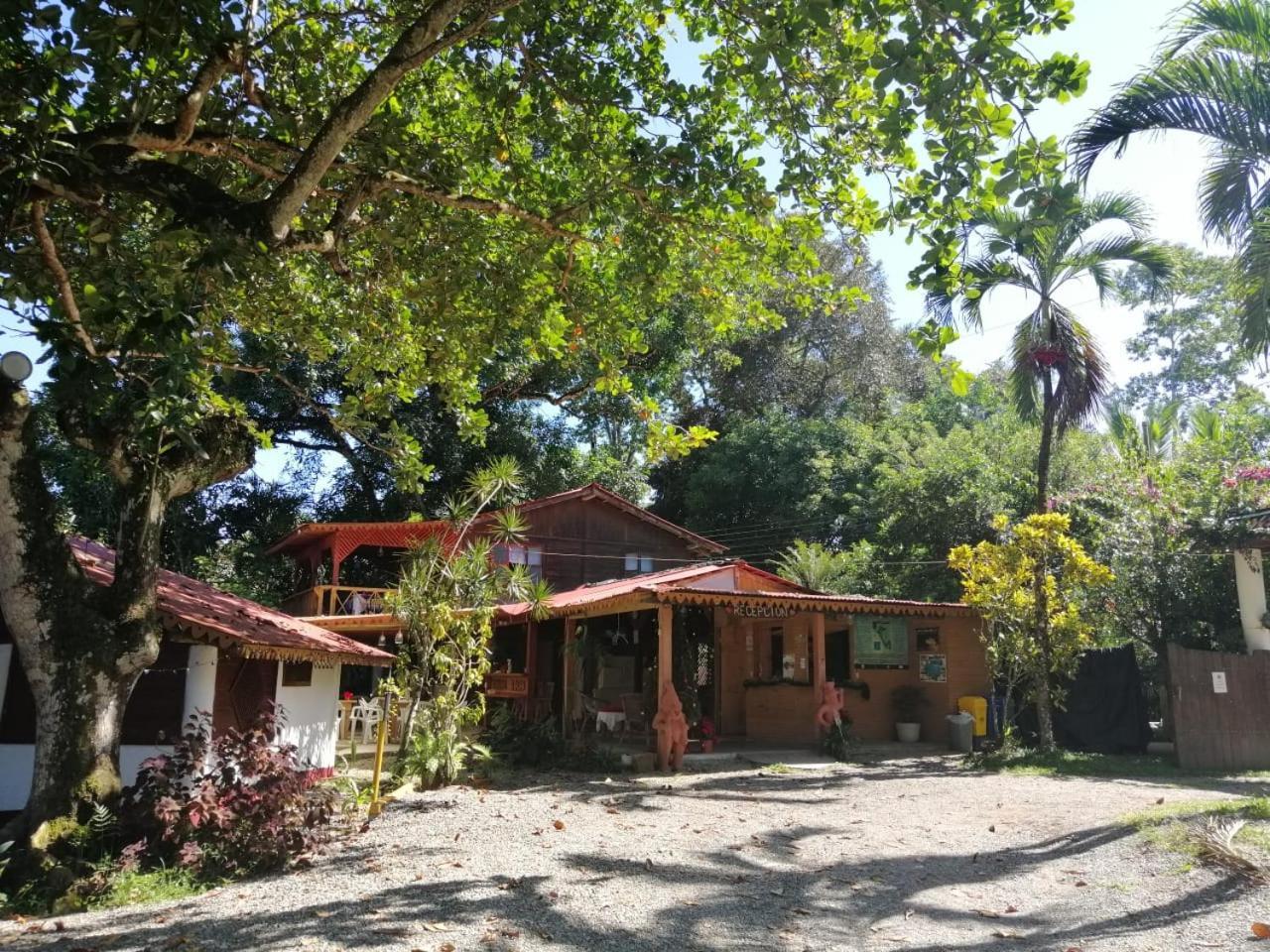 Chalet Y Cabinas Hibiscus Cahuita Exterior foto